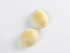 Silikonform för dekor, Citron - 100% Chef