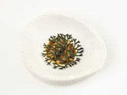 Silikonform för Tuile, Alg - 100% Chef