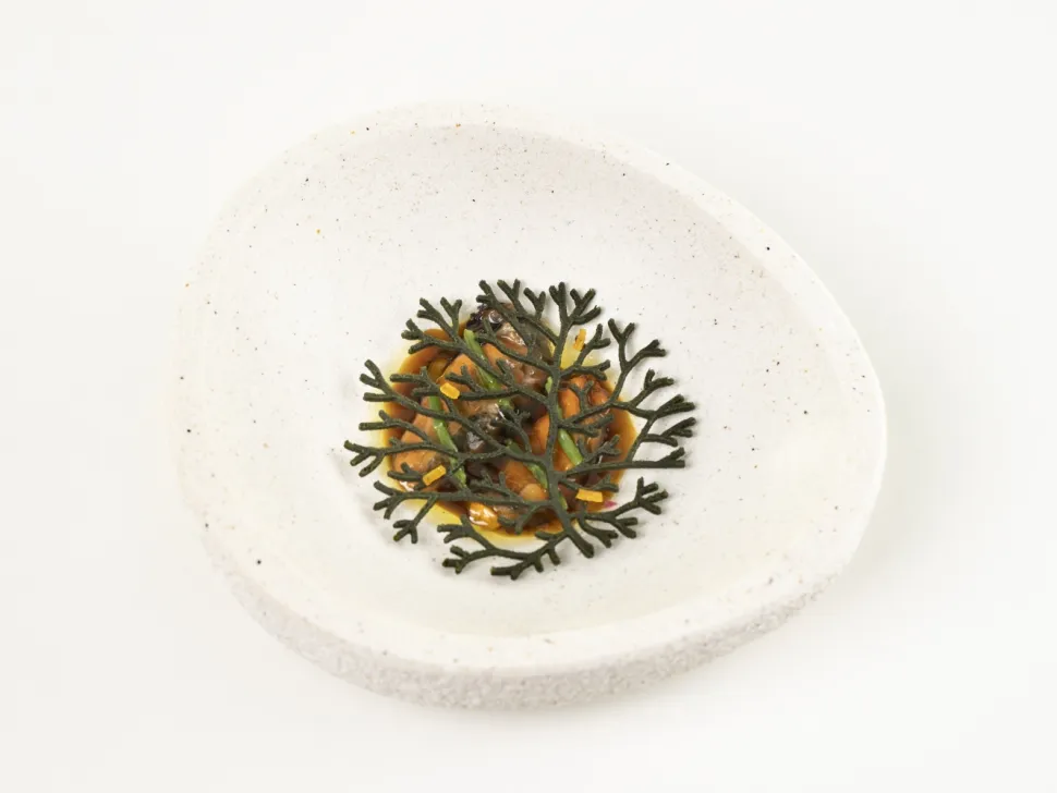 Silikonform för Tuile, Alg - 100% Chef