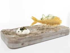 Silikonform för Tuile, Fisk - 100% Chef