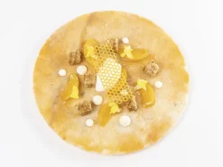 Silikonform för Tuile, Honeycomb - 100% Chef