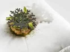 Silikonform för Tuile, Korall - 100% Chef
