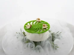 Silikonform för Tuile, Rodeo - 100% Chef