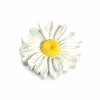 Silikonform, Marguerite Flower Mold - Moldbrothers