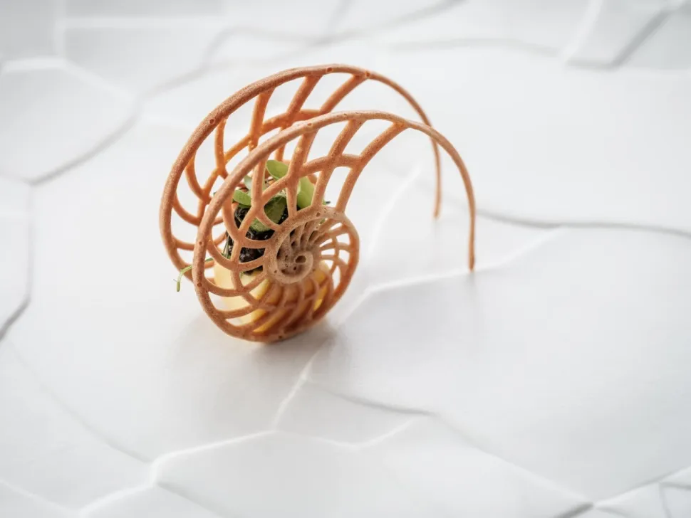 Silikonform, Nautilus Tuille Mold - Moldbrothers