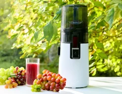 Slow juicer H70-ST, Pure Press - Hurom