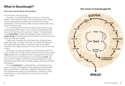 Sourdough from Scratch - James Morton