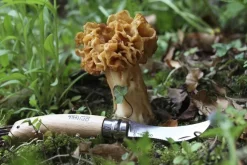 Svampkniv med borste - Opinel