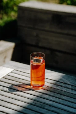 Svartvinbärssyra, 500 ml - Sandberg Drinks Lab