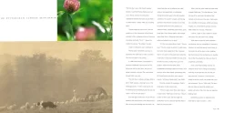 The French Laundry Cookbook -  Thomas Keller