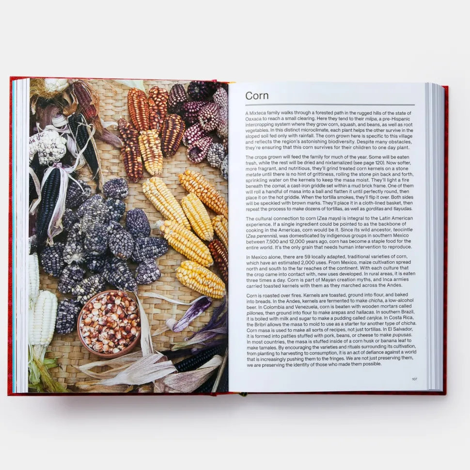 The Latin American Cookbook - Virgilio Martínez