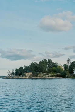 The Swedish Cookbook - Niklas Ekstedt