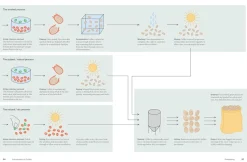 The World Atlas of Coffee, 3rd Edition - James Hoffmann