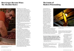 The World of Natural Wine - Aaron Ayscough