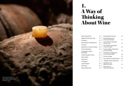 The World of Natural Wine - Aaron Ayscough