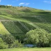 Vinkaraff, Mosel - Riedel