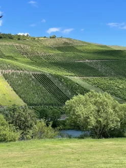 Vinkaraff, Mosel - Riedel