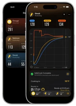 Wifi display - Combustion